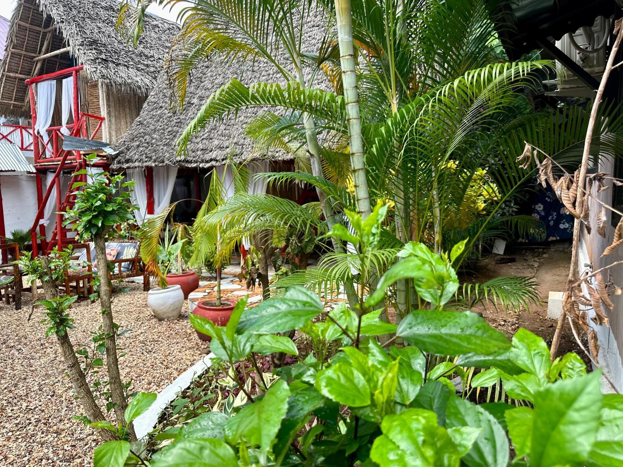Pole Pole House Hotel Нунгви Екстериор снимка